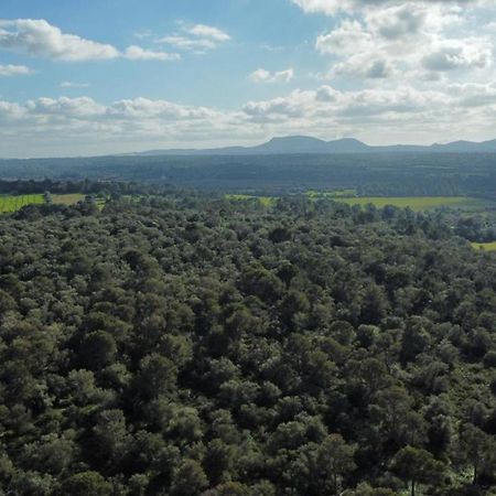 Magnifica Villa Tranquila En El Centro De Mallorca Biniali  Ngoại thất bức ảnh